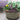 Vintage Shallow Planter | Large