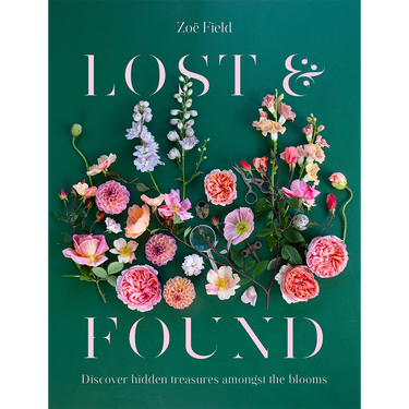 Lost & Found ~ Zoe Field