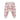 KYND Jacquard Knit Pant | Petal Blooms