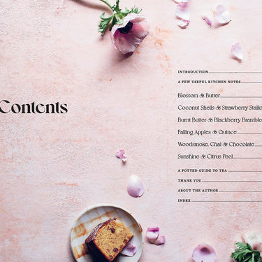 PRE-ORDER The Plain Cake Appreciation Society ~ Tilly Pamment