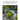 Gardens Illustrated UK Magazine | January 2026