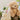 Jamie Kay | Snuggle Bunny | Honey the Puppy | Honey
