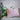 Designers Guild Cartouche Blossom Cushion