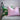 Designers Guild Tortona Peony Linen Cushion