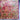 Banarasi Hand Knotted Silk & Wool Rug