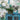 Iron Basket | Verdigris