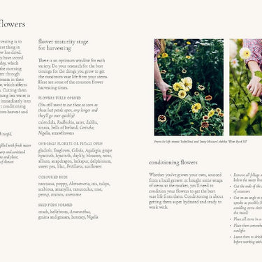 The Grower's Guide - Floristry ~ Milli Proust