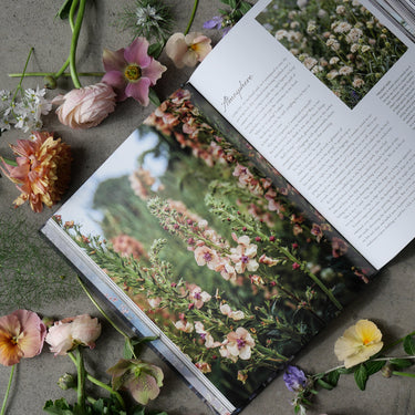 The Flower Hunter ~ Creating a Floral Love Story Inspired by the Landscape