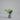 Deborah Sweeney Bud Vase | 21