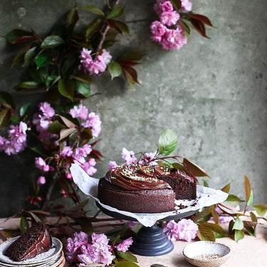 PRE-ORDER The Plain Cake Appreciation Society ~ Tilly Pamment