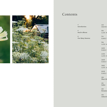 From Seed To Bloom ~ Milli Proust