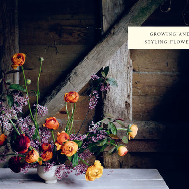 From Seed To Bloom ~ Milli Proust