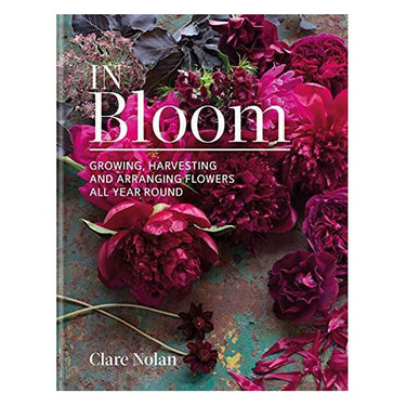 In Bloom ~ Clare Nolan